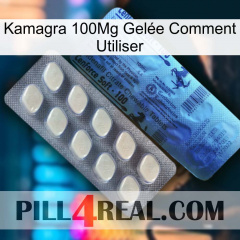 Kamagra 100Mg Gelée Comment Utiliser 34